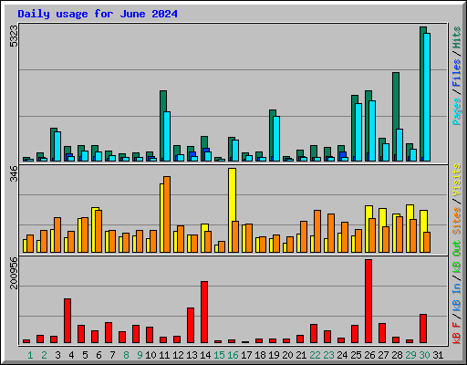 Daily usage for June 2024