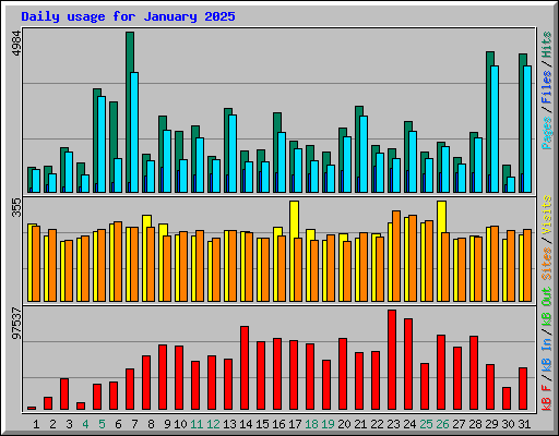 Daily usage for January 2025