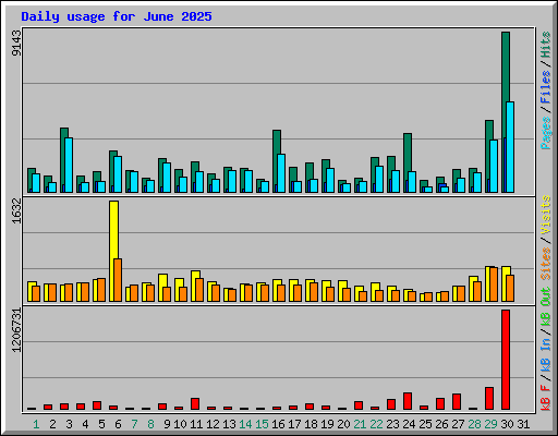 Daily usage for June 2025