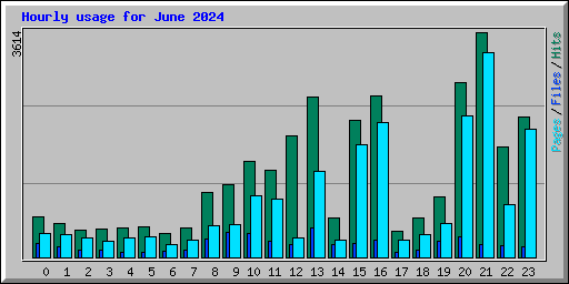 Hourly usage for June 2024