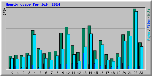 Hourly usage for July 2024