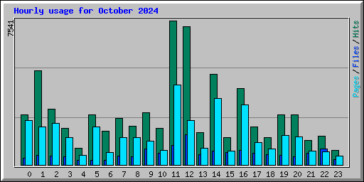 Hourly usage for October 2024