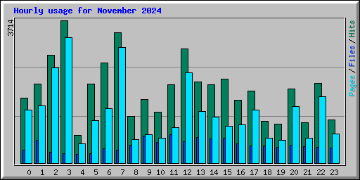 Hourly usage for November 2024