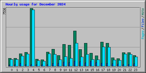 Hourly usage for December 2024