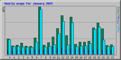Hourly usage for January 2025