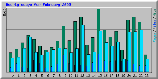 Hourly usage for February 2025