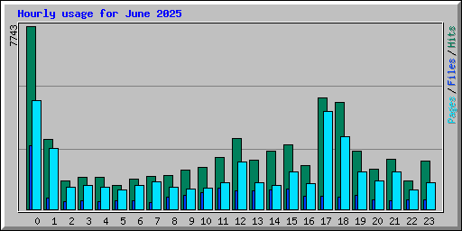 Hourly usage for June 2025