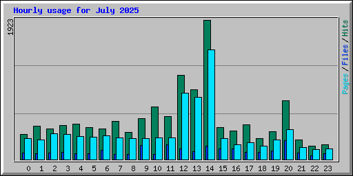Hourly usage for July 2025