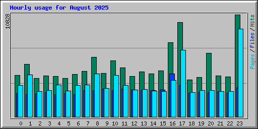 Hourly usage for August 2025