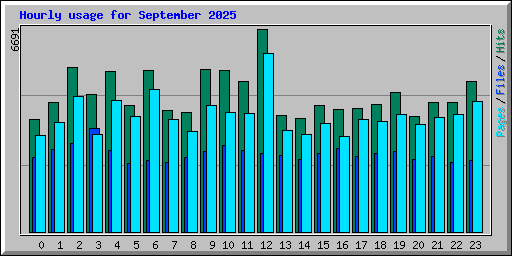 Hourly usage for September 2025