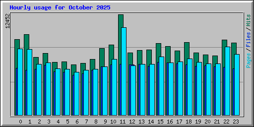 Hourly usage for October 2025