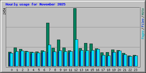 Hourly usage for November 2025