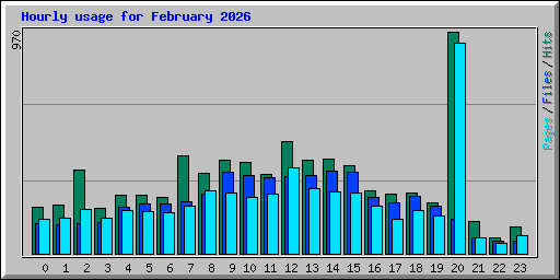Hourly usage for February 2026