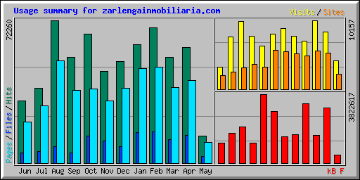 Usage summary for zarlengainmobiliaria.com